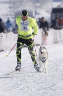 Lenk 2013